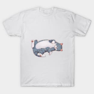 Sleepy Kitty (Grey) T-Shirt